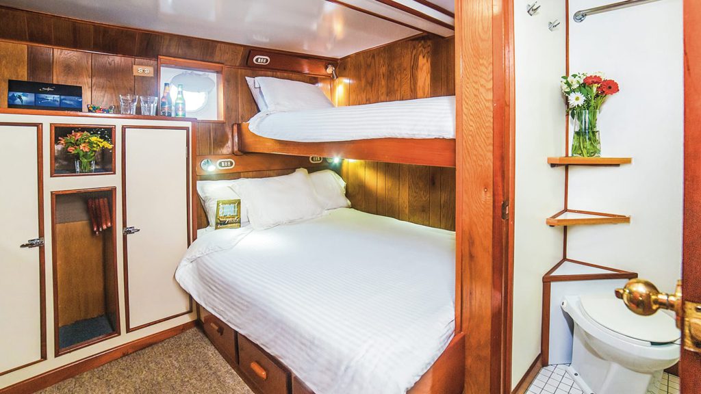 17 nautilus undersea liveaboard socorro baja mexico stateroom lower deck 3