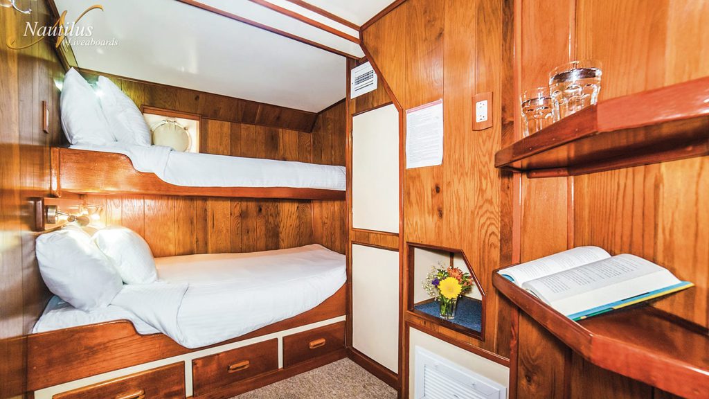 18 nautilus undersea liveaboard socorro baja mexico stateroom lower deck 4
