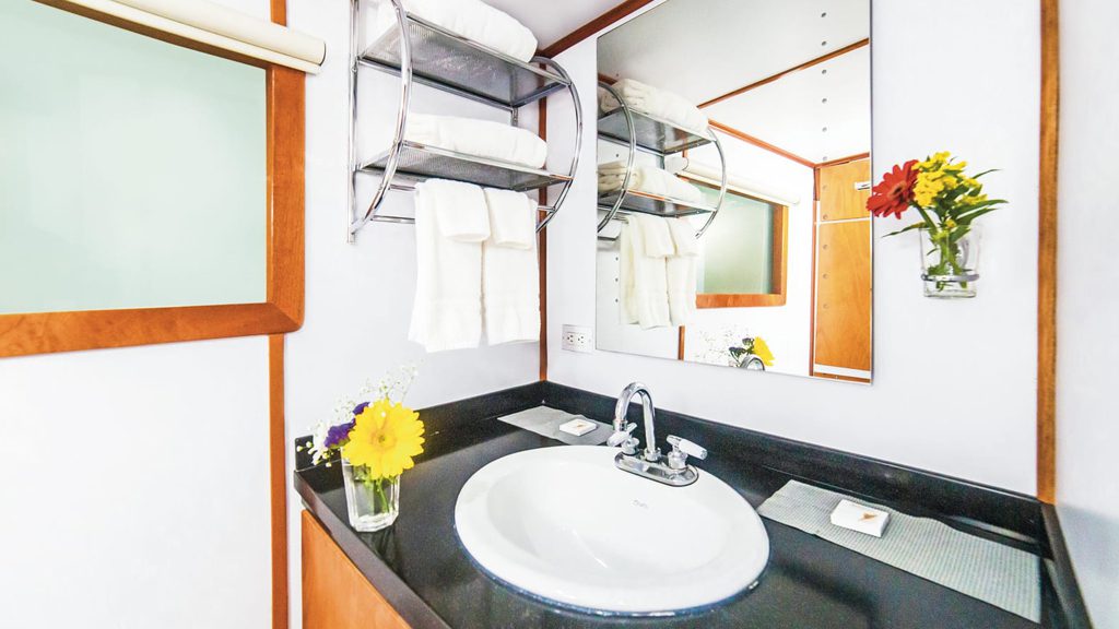 19 nautilus undersea liveaboard socorro baja mexico en suite bathroom 1