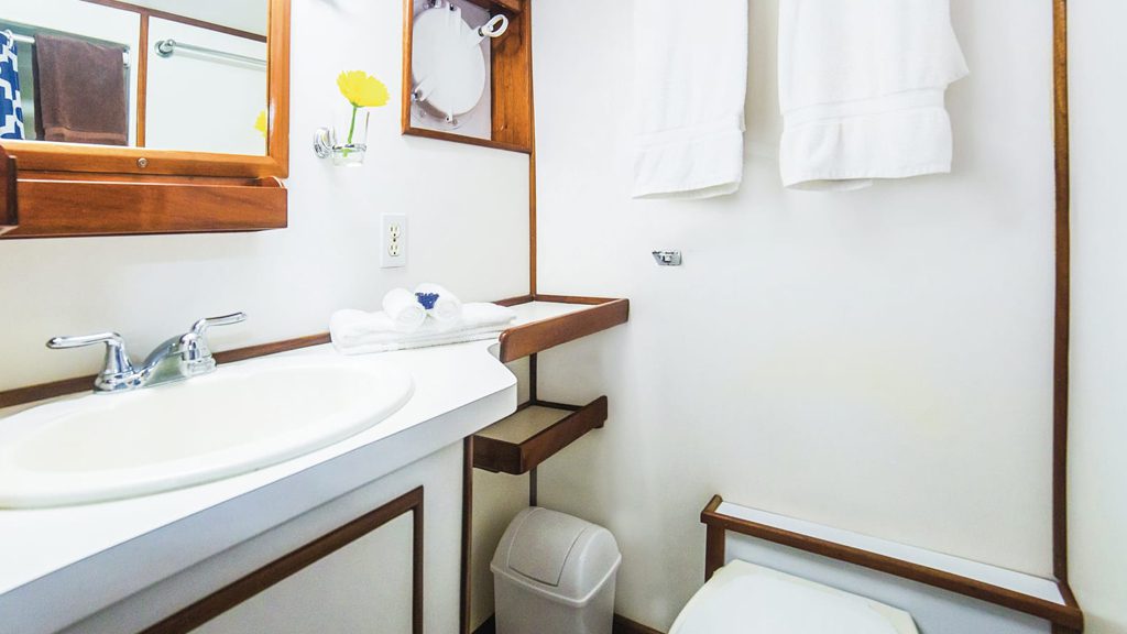 20 nautilus undersea liveaboard socorro baja mexico en suite bathroom 2