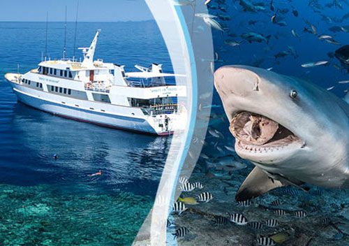 Div spiritbeqasplit 200125 sp