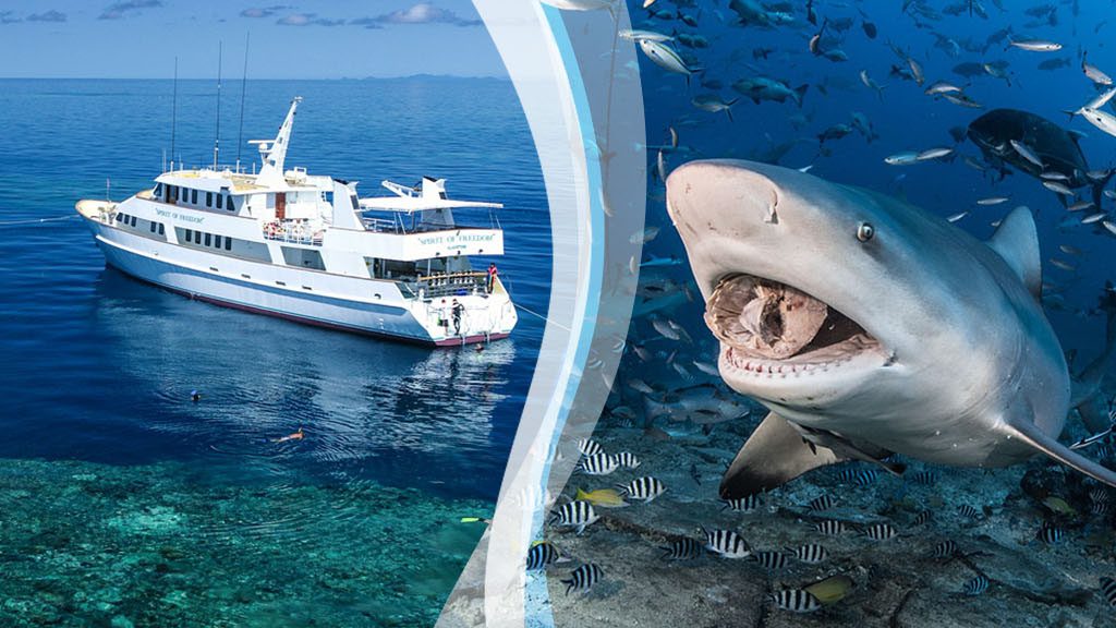 Div spiritbeqasplit 200125