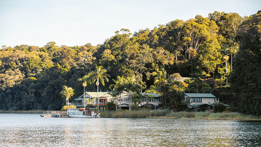 Fnq nature tours cairns lake barrine tea house