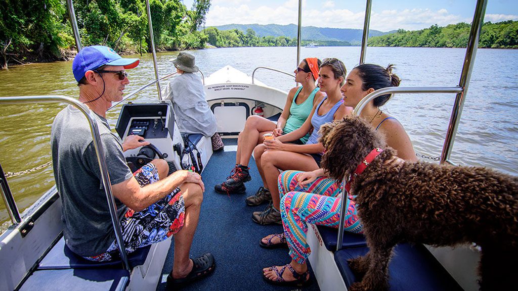 Fnq nature tours cairns private daintree river cruise