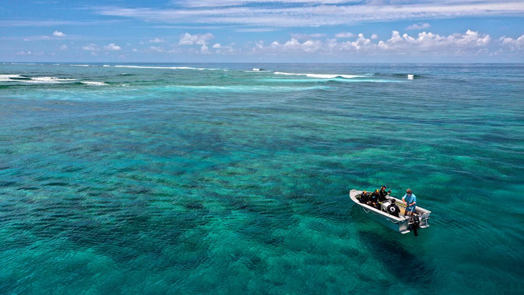 Great reef census expedition swain reefs credit johnny gaskell