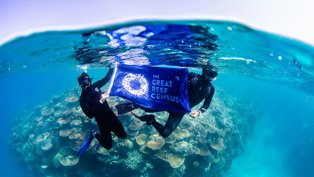 Great reef census flag credit nicole mclachlan