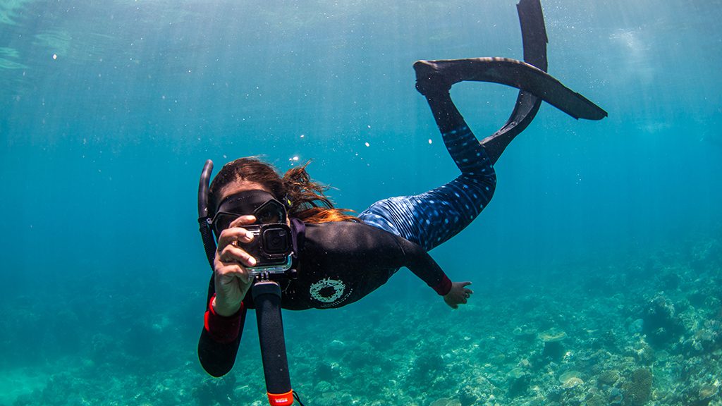 Great reef census freediver credit nicole mclachlan