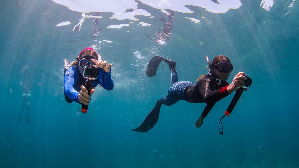 Great reef census gopro snorkelers credit nicole mclachlan9