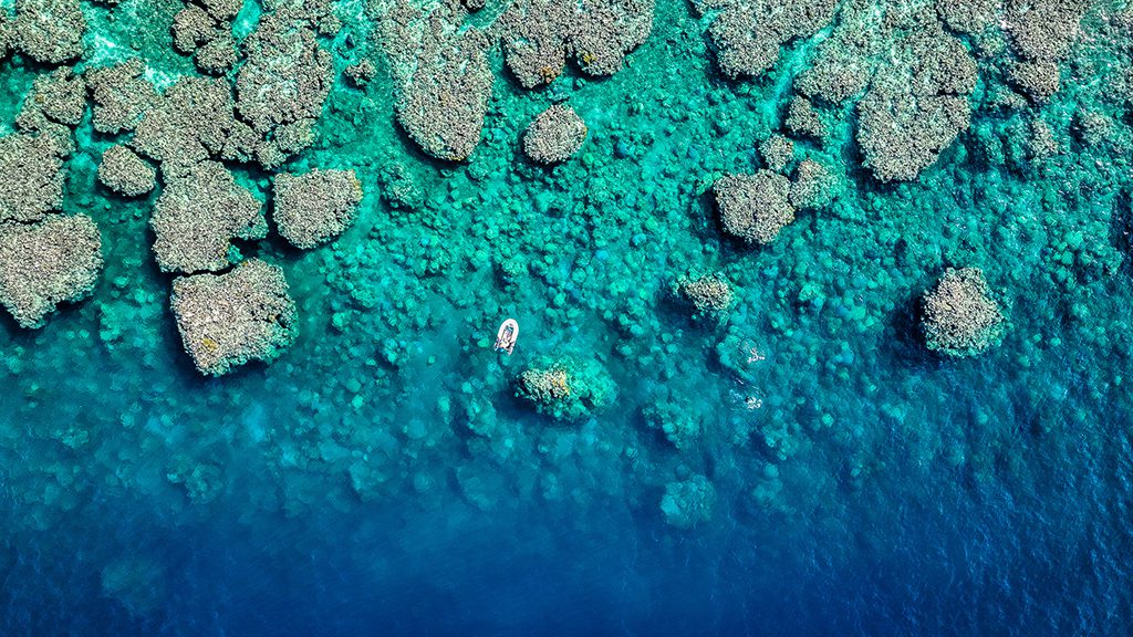 Great reef census great barrier reef remote reef aril credit bijang slabb