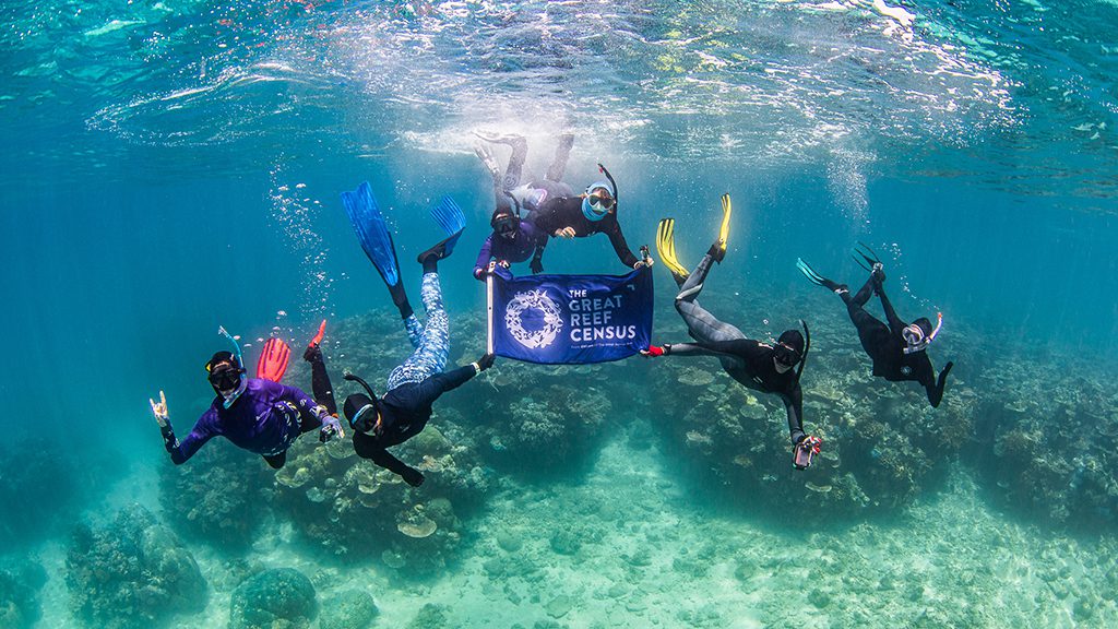 Great reef census group credit nicole mclachlan