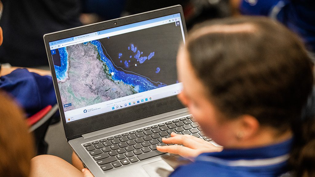 Great reef census online image analysis credit nicole mclachlan