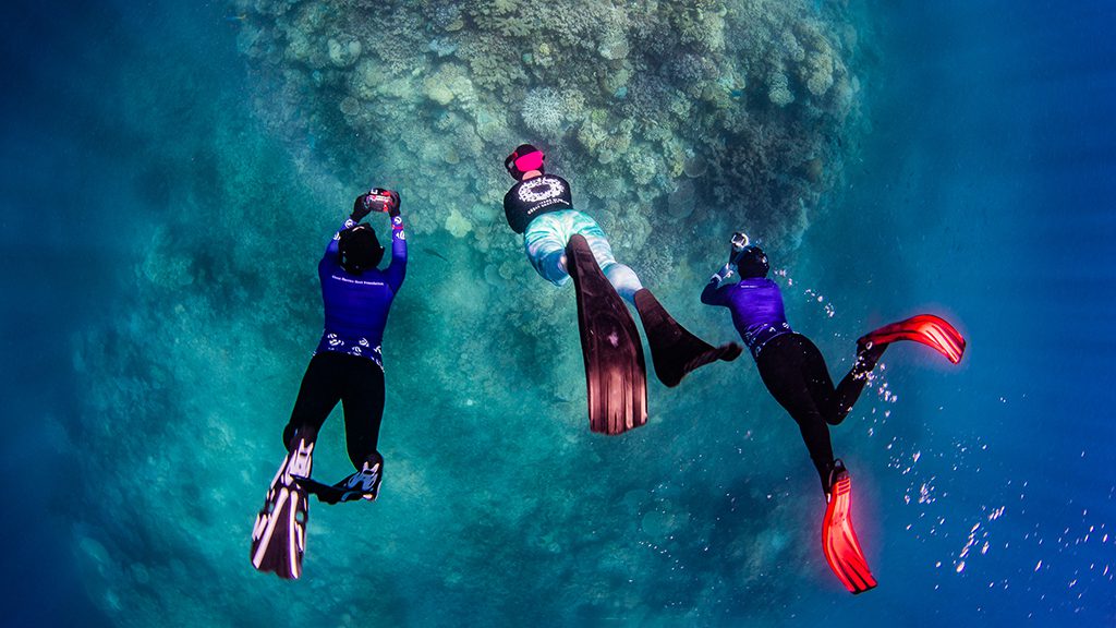 Great reef census snorkelers photographing the reef credit nicole mclachlan