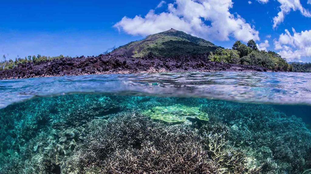 Wallacea dive cruise halmahera above below