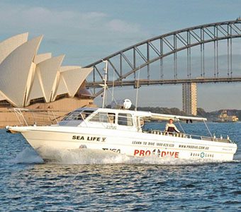 0 pro dive sydney sealife v feature