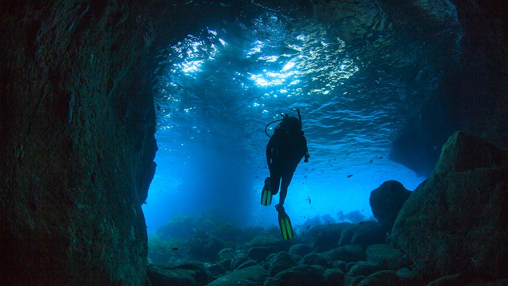 1 dive new zealand poor knights tutukaka cave shutterstock 1278390523