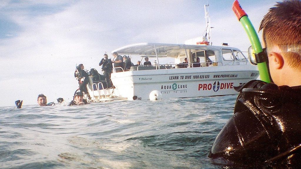 1 pro dive sydney manly sealife v