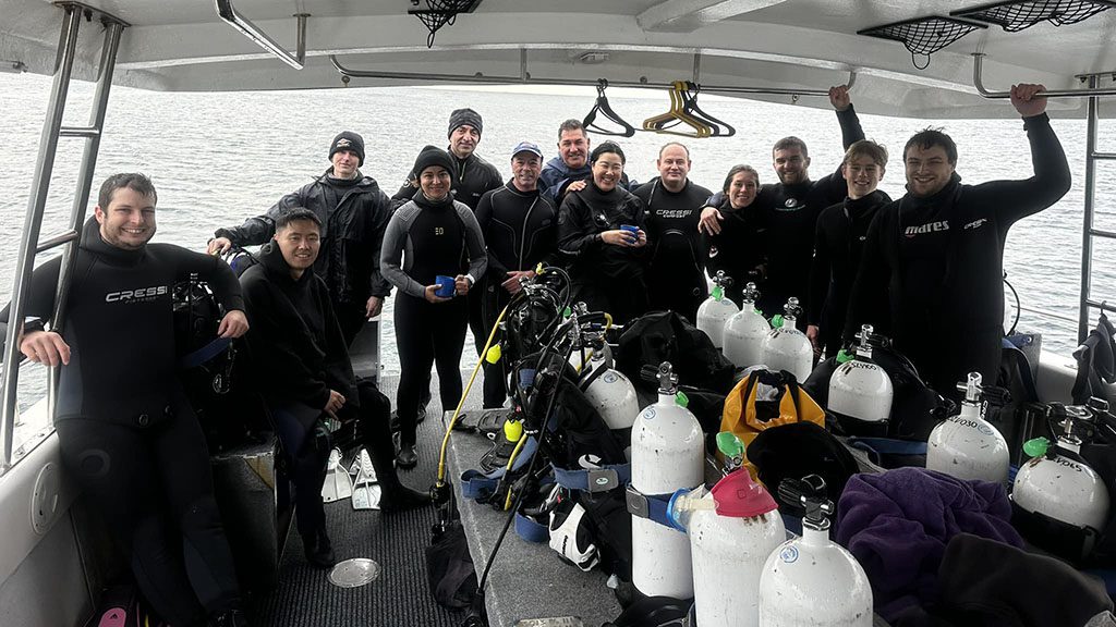 2 pro dive sydney sealife v