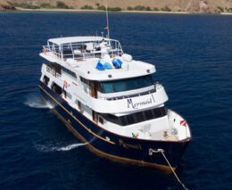 3 mermaid 1 liveaboard indonesia boat aerial 3 feature340 jpg