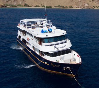 3 mermaid 1 liveaboard indonesia boat aerial 3 feature340 jpg
