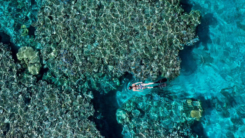 14 uepi island resort uepi solomon islands snorkel 3