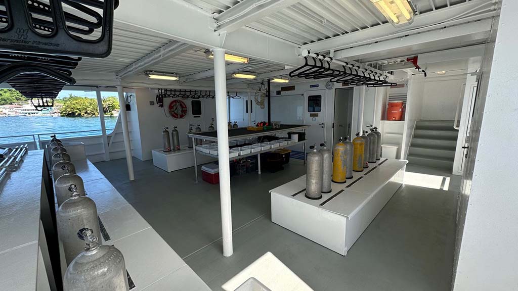 Palau aggressor ii dive deck 8954