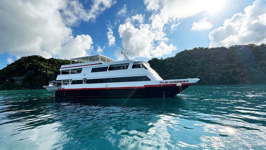 Palau aggressor ii hero 8904