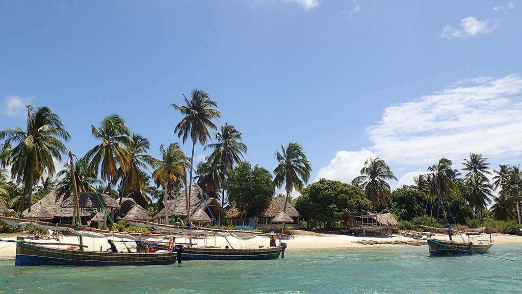 6 diving mafia island tanzania butiama beach lodge boats and beach