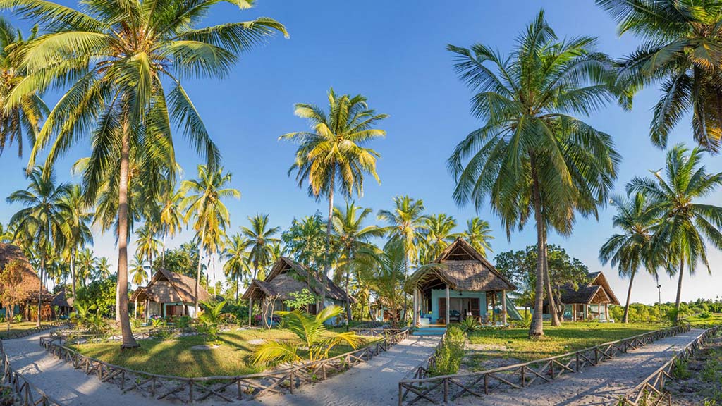 6 diving mafia island tanzania butiama beach lodge bungalows