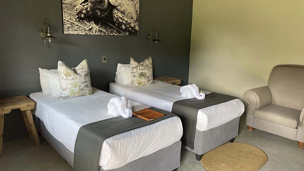 6 diving south africa bayala game lodge twin room