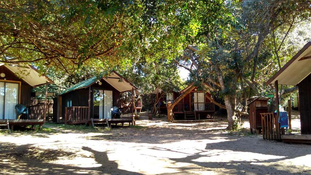 8 diving sodwana bay south africa coral divers bungalows