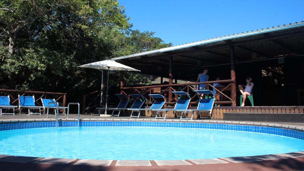8 diving sodwana bay south africa coral divers pool