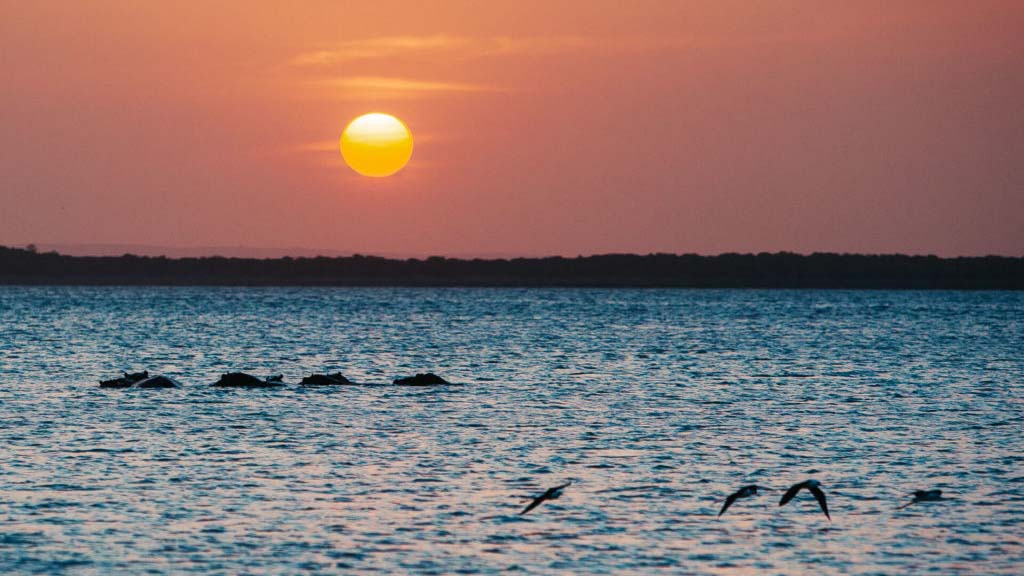 9 diving sodwana bay thonga beach lodge south africa sundowners hippos 1