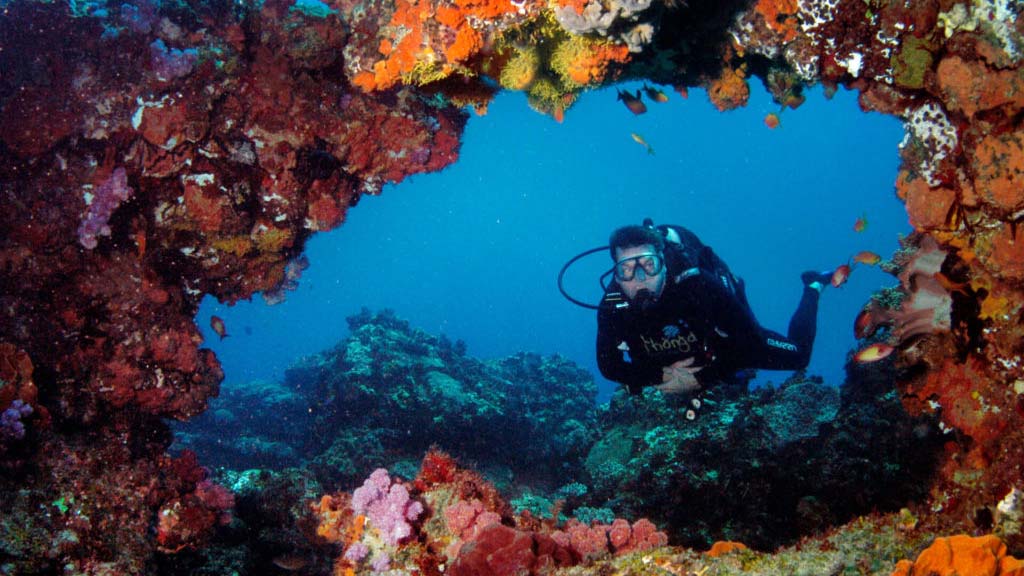 9 diving sodwana bay thonga beach lodge south africa swim through and diver