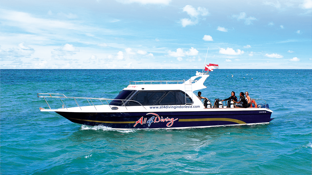 All 4 diving dive boat little mermaid 1