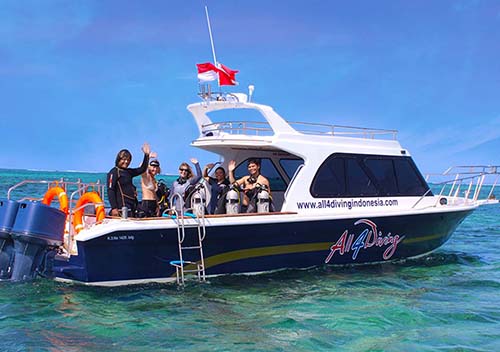 All 4 diving dive boat little mermaid feature