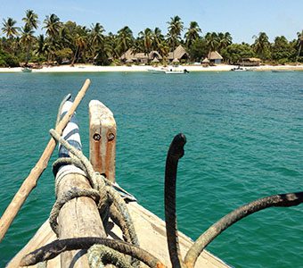 Diving tanzania mafia island feature