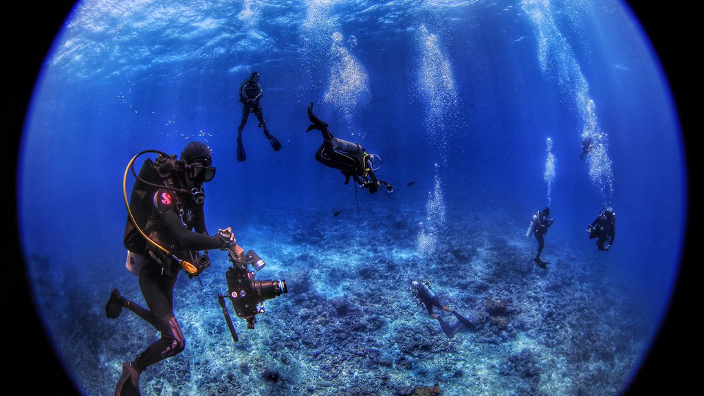26 carpe diem liveaboard maldives divers world