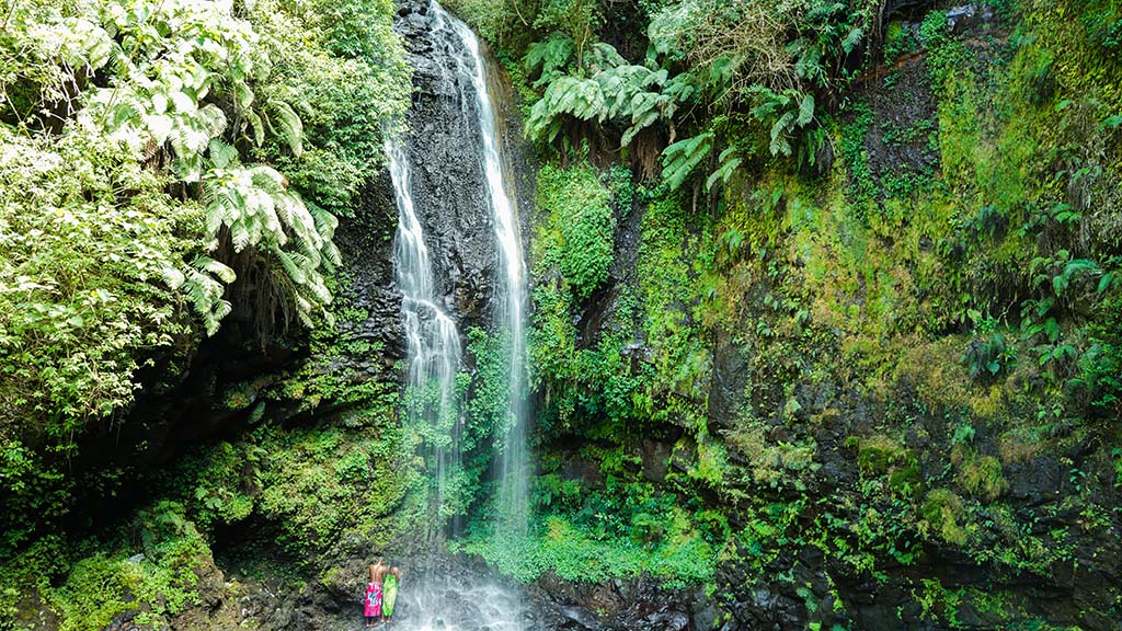 7 madagascar amber mountain national park shutterstock 1529498780