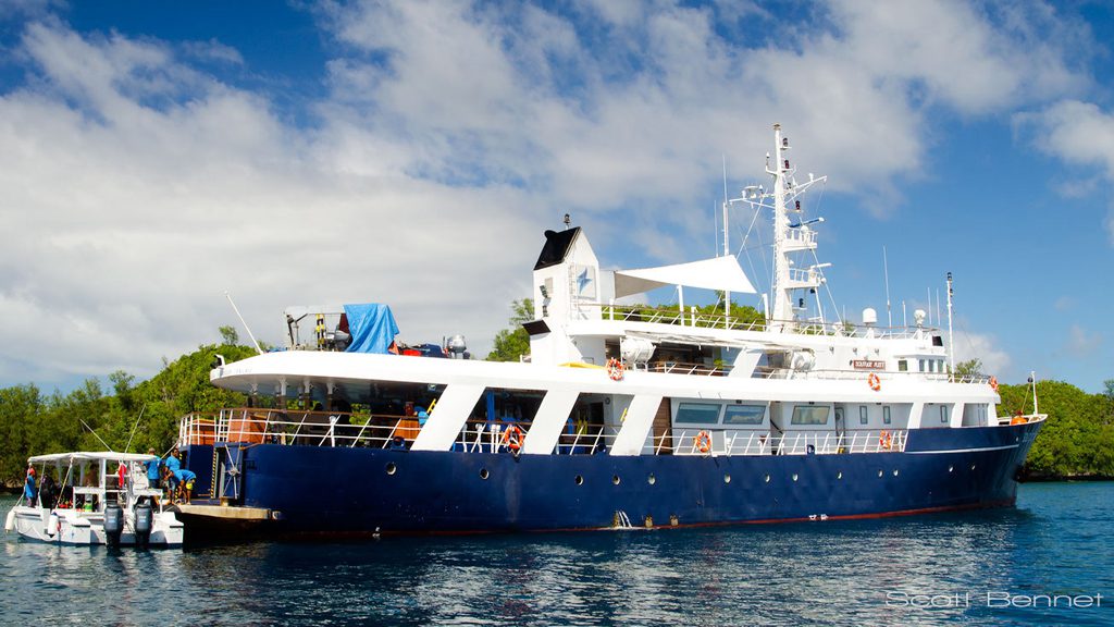 7 solitude one liveaboard philippines aerial view4