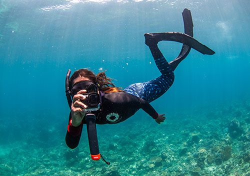Great reef census photo by nicole mclachlan sp500