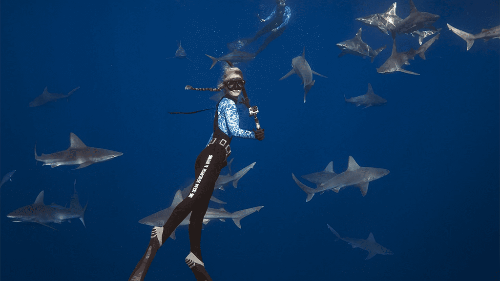 One ocean diving hawaii ocean ramsey with galapagos sharks
