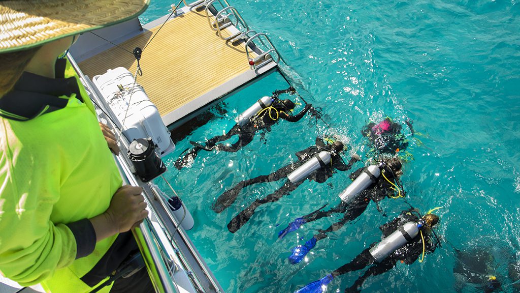 Passions of paradise cairns great barrier reef discover scuba