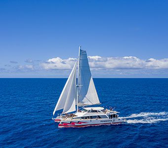 Passions of paradise cairns great barrier reef feature