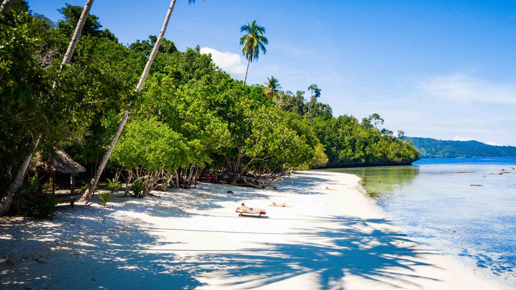 14 biodiversity eco resort bitung north sulawesi indonesia beach sunbeds