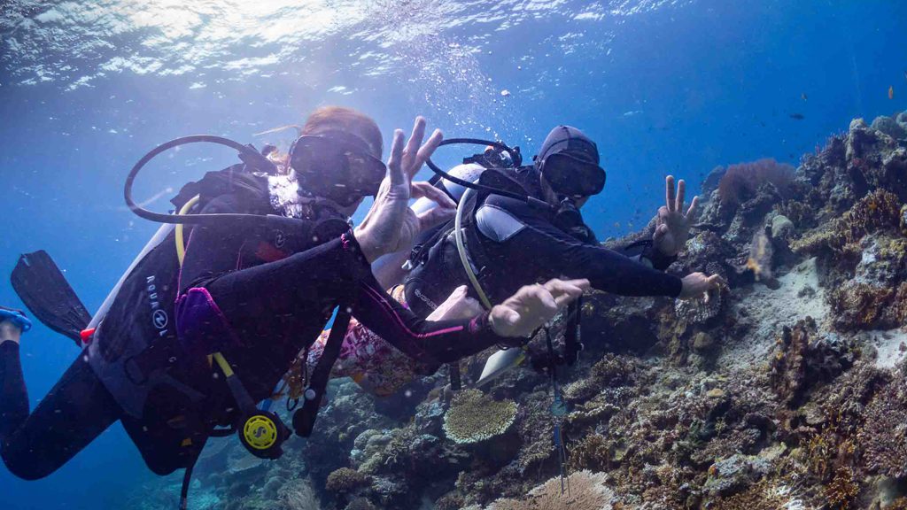 49 biodiversity eco resort bitung north sulawesi indonesia divers