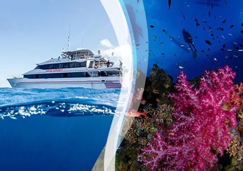 Div mikeballwalindi 200125 sp