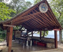 Dive the coolidge allan power dive tours santo vanuatu feature 6451