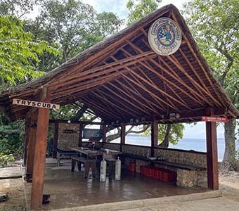 Dive the coolidge allan power dive tours santo vanuatu feature 6451