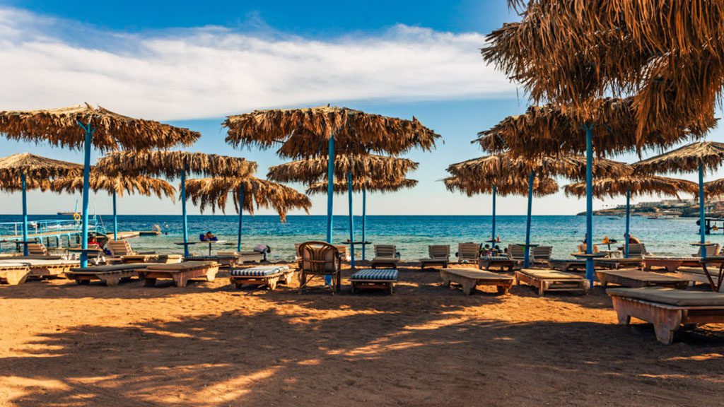 10 sharks bay resort umbi sharm el sheikh red sea egypt sunbeds by the beach