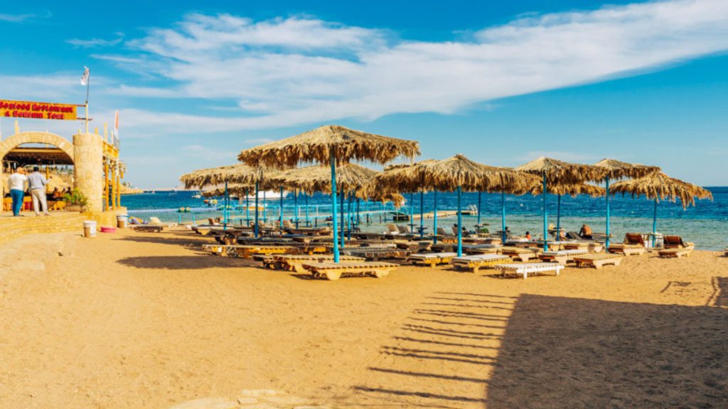 11 sharks bay resort umbi sharm el sheikh red sea egypt sunbeds by the beach 2